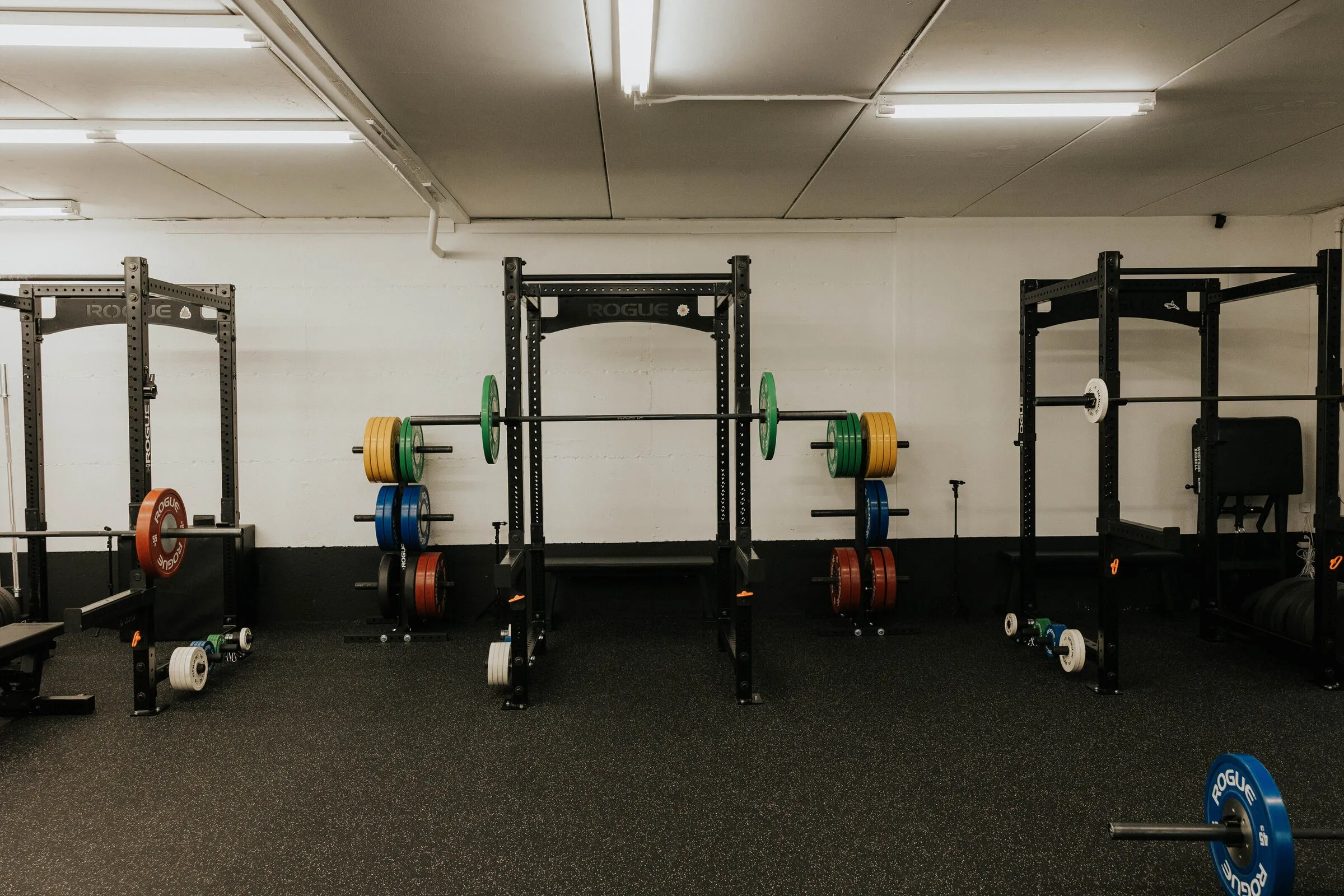 A row of Rogue racks loaded with bumper plates on the Simply Strong Gym floor